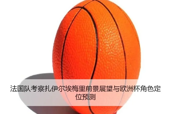 法国队考察扎伊尔埃梅里前景展望与欧洲杯角色定位预测
